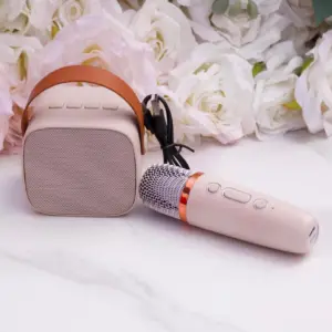 Mini speaker