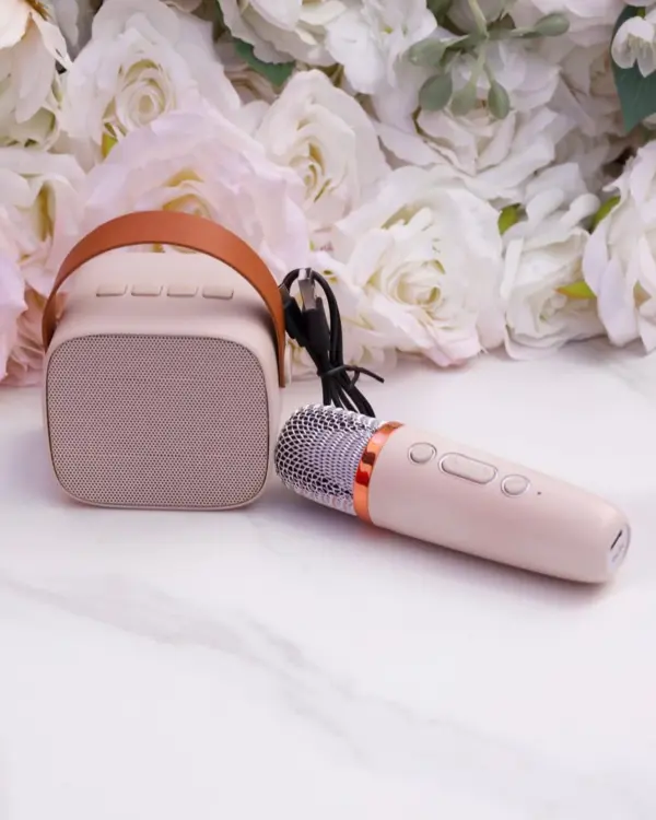 Mini speaker